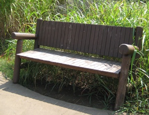 bench-300x231