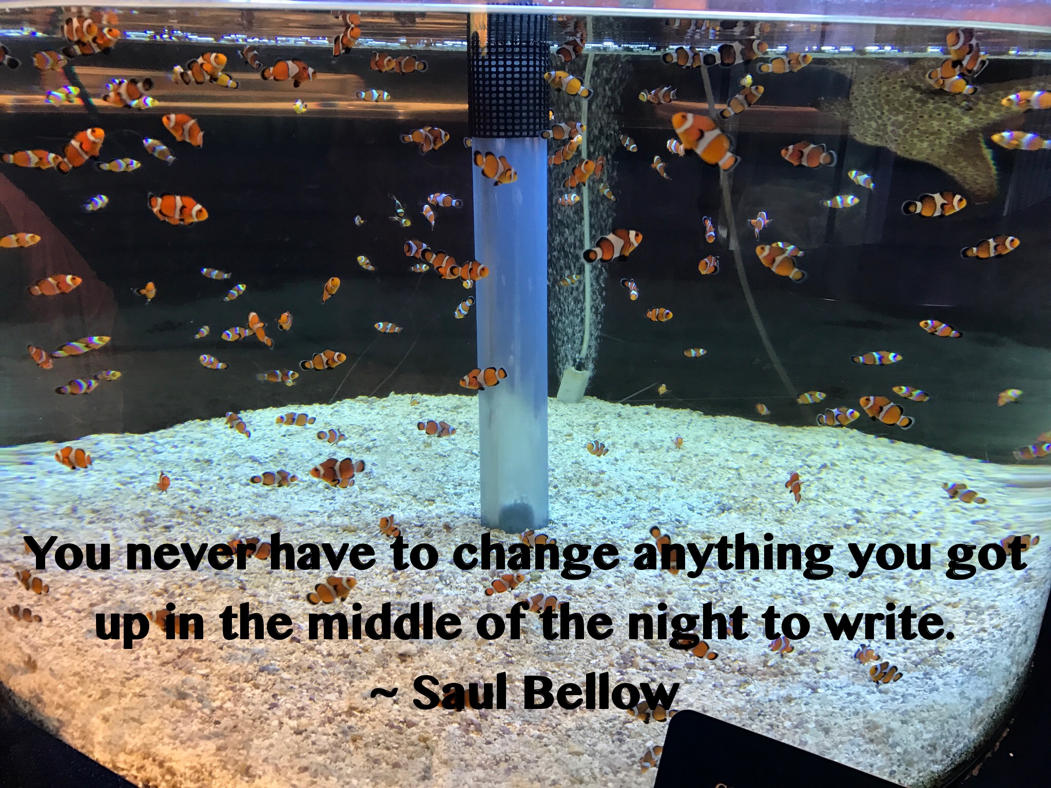 Saul Bellow - Write at Night